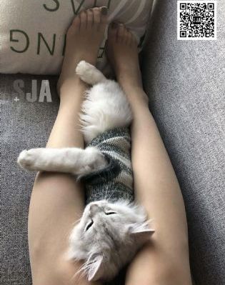 飞扬的青春 电视剧