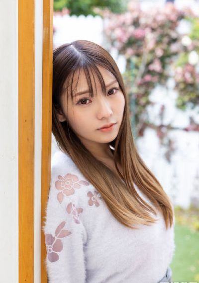 忠犬帕尔玛电影